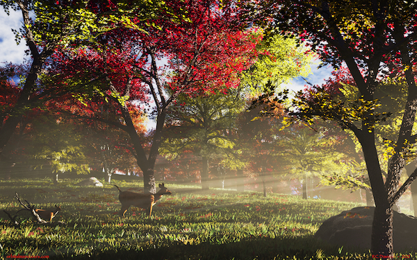 Wallpaper - Autumn Morning